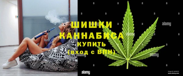 ПСИЛОЦИБИНОВЫЕ ГРИБЫ Алзамай