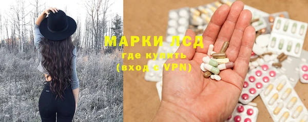 ПСИЛОЦИБИНОВЫЕ ГРИБЫ Алзамай