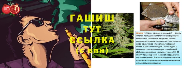 соль ск Алексин
