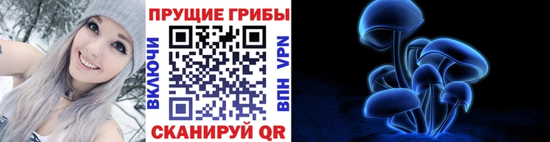 наркота Череповец Псилоцибиновые грибы ЛСД